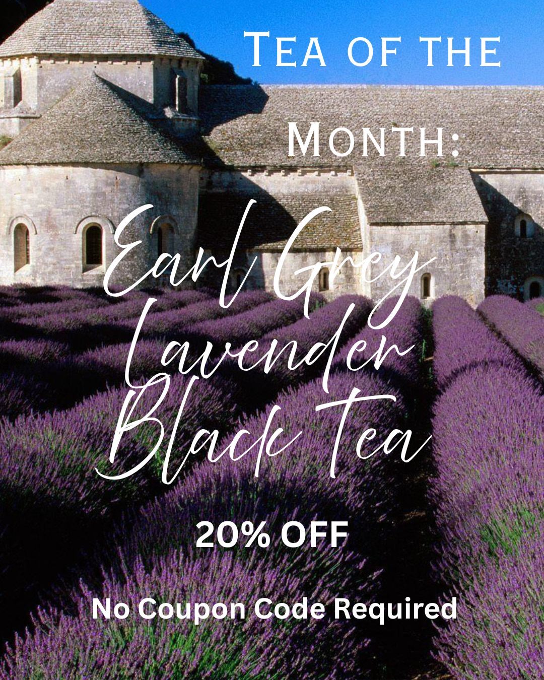 Earl Grey Lavender Black Tea